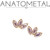 Anatometal 18K Marquise Fan3 Mini 1.5 x3mm End 16ga