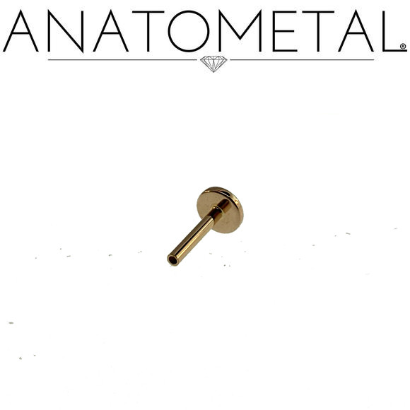 18K R Labret (fixed disk) 16ga 5/16''