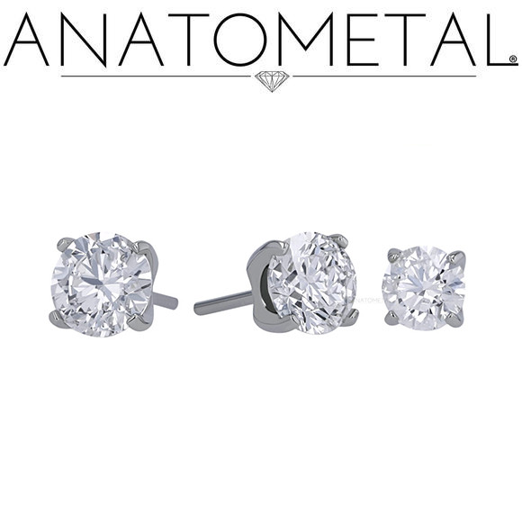 Ti Standard Tiffany Earring 20ga