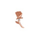 Rose Gold and Genuine Diamond (right)