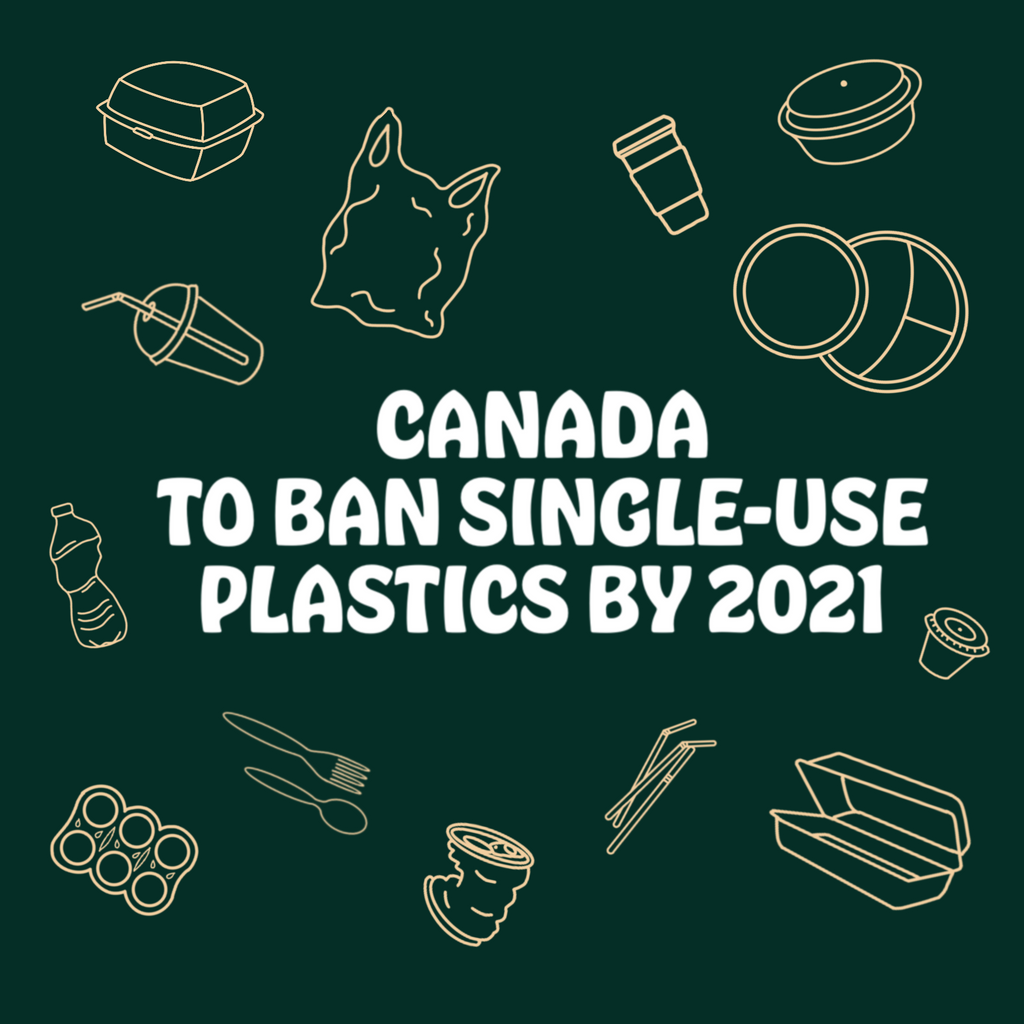 Canada to Ban Six Single-Use Disposable Plastics: Submit Your Comments
