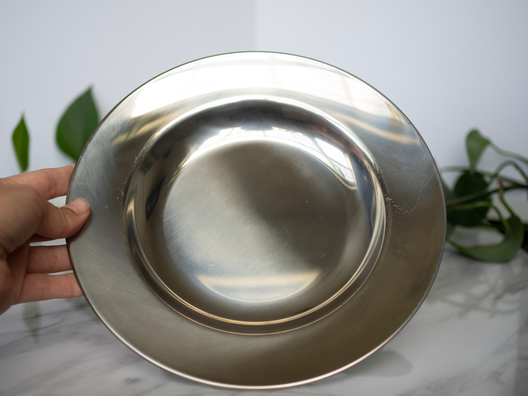 Stainless Steel Plate - 23 cm / 9