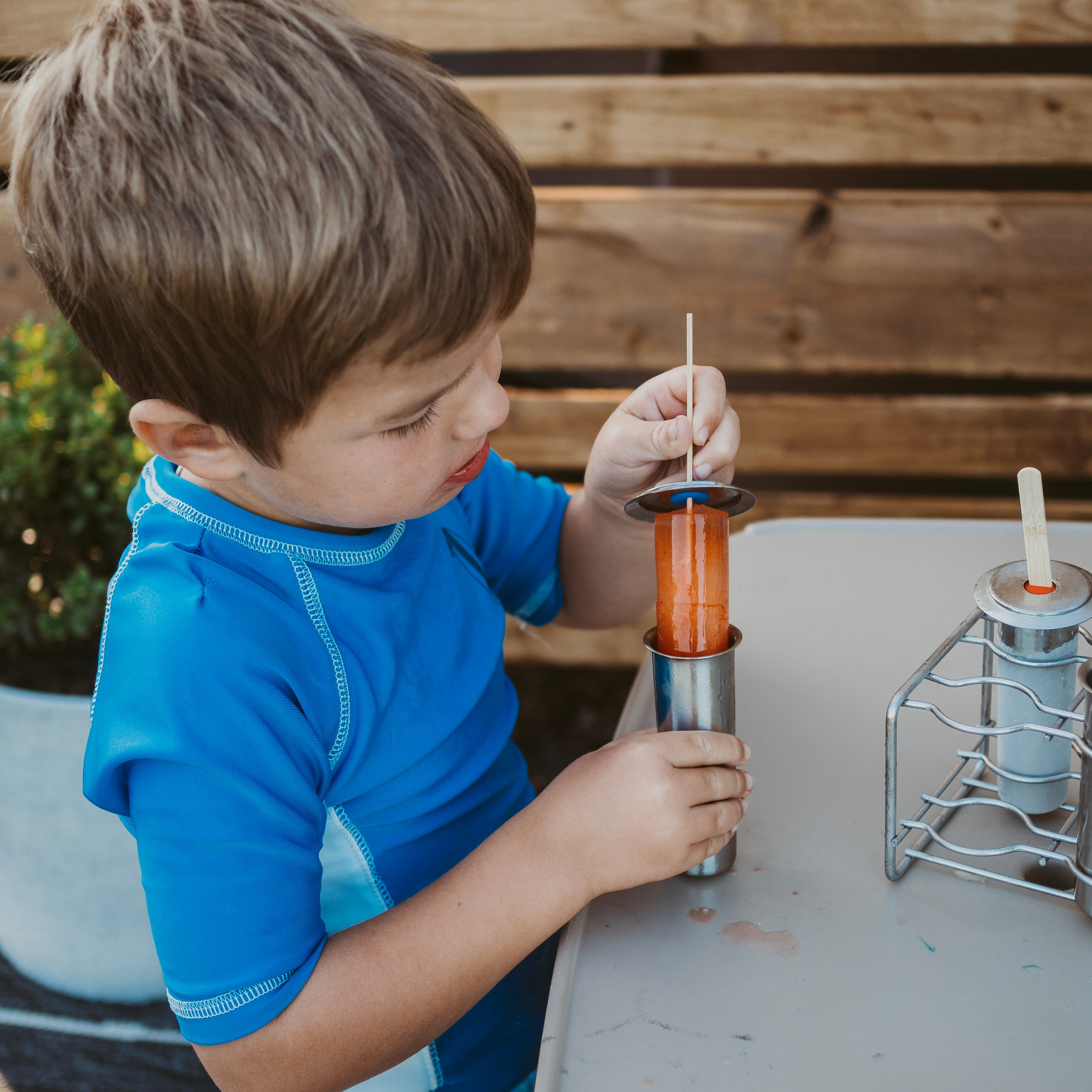 Stainless Steel Individual Popsicle Mold