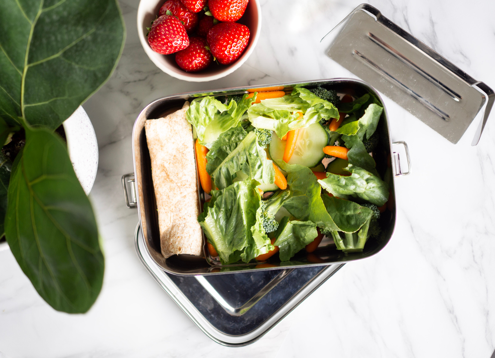 Stainless Steel Lunch Box with Removable Dividers - Round