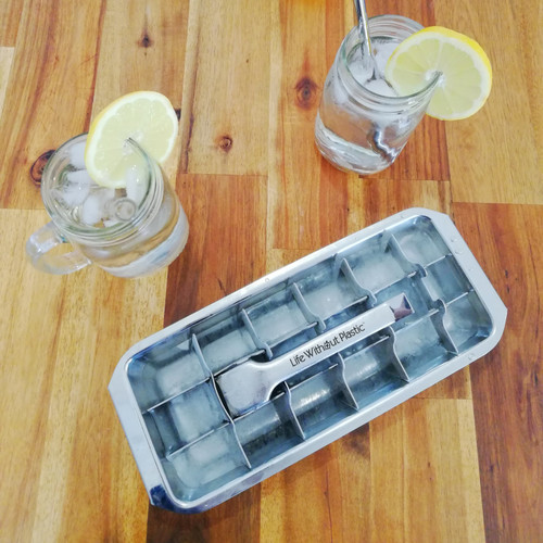 Stainless Steel Ice Cube Tray with lemons