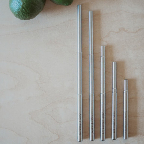 stainless steel straw kit - extended
