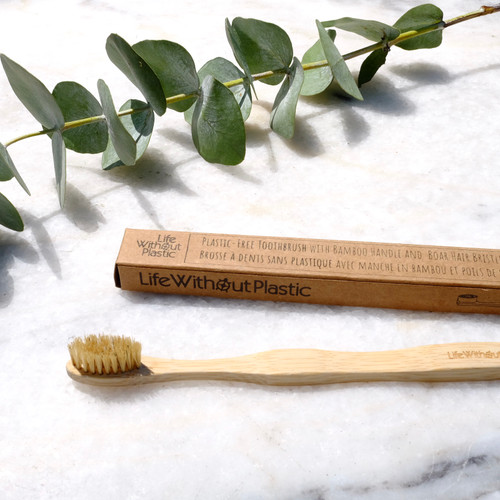 plastic-free compostable toothbrush