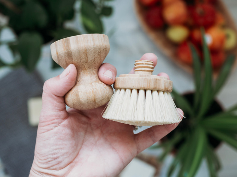 Dishwashing Habit Shift: Brushes and Soaps Without Plastic