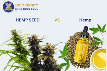 Hemp Seed Oil vs. Hemp Oil: What’s the Difference? Hemp Seed Oil vs. Hemp Oil: What’s the Difference?
