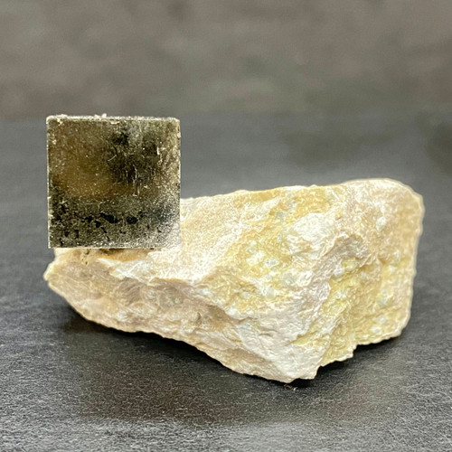 Pyrite in Marlstone-1.5