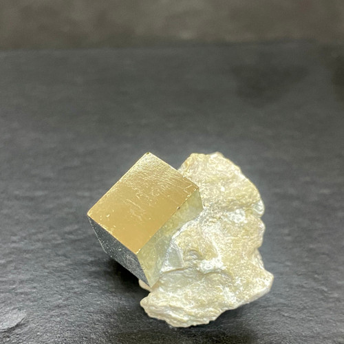 Pyrite in Marlstone-1.6