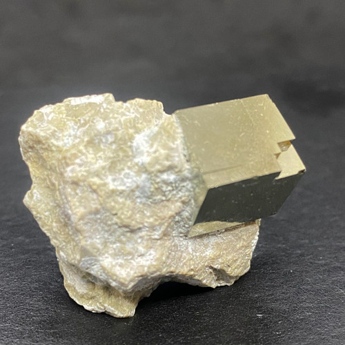 Pyrite in Marlstone-1.7 Pyrite in Marlstone-1.7