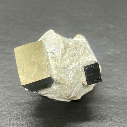 Pyrite in Marlstone-1.9