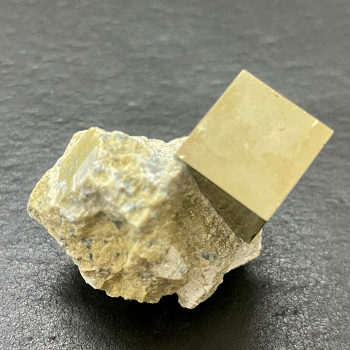 Pyrite in Marlstone-1.12