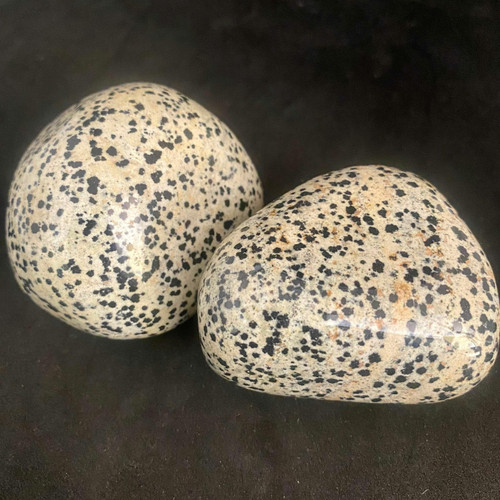 Dalmatian Jasper Tumbled Stone ( XXL )-1.1