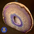 Agate Base Cut Geodes-51.18, Geode Crystal, Perfect for Home or Office Decor & Gift