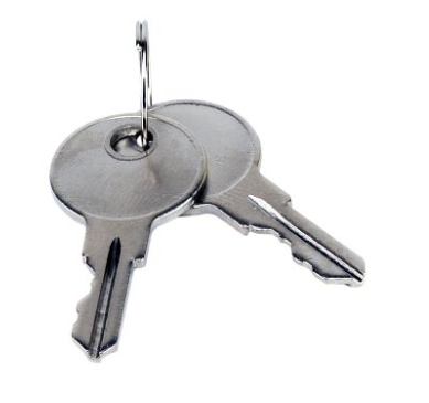 LiftMaster K80-50295 Keys for Access Door (Q118), Qty 2