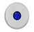 Eluxa LED STR WHT Ceil 24V 5/12/30/40/50/65 CD Blue No Let