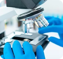 Amplio Portafolio de Estudios