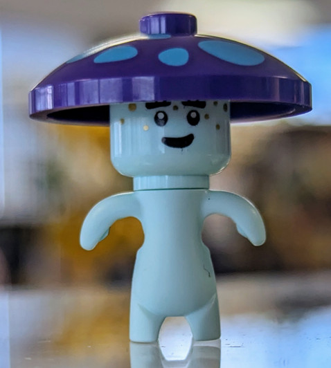 DRM028 LEGO® Dreamling Mushroom