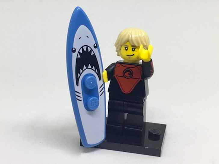 COL17-1 LEGO® Pro Surfer