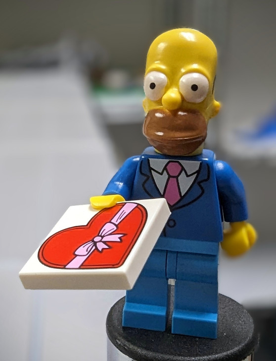 COLSIM2-1 LEGO® Date Night Homer