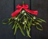 How to Keep Mistletoe Fresh All Christmas Season