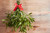 Mistletoe adds a festive and romantic touch to holiday decorations and can be a fun tradition to include in your Christmas celebrations.

