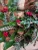 Magical mistletoe wreath with magnolia leaves, fresh cedar greenery, and decorative feathers, natural botanical holiday wreath.
