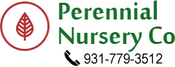 Perennial Nursery