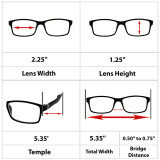 Webster Blue Light Protection Reading Glasses 2 Pack Black Tortoise