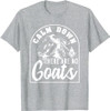 Freemasonry Goat Conspiracy Design T-Shirt