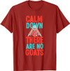 Goat Conspiracy Freemasonry Design T-Shirt