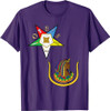 OES Daughters of Isis Split T Shirt PHA Eastern Star Tee DOI T-Shirt