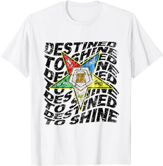 Retro Order Of The Eastern Star Shirt OES Shirt For Diva T-Shirt