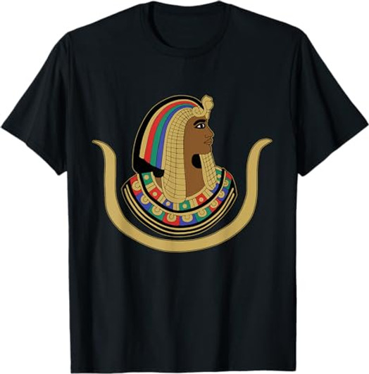 Daughters of Isis DOI PHA Shriners AEAONMS OES Christmas T-Shirt