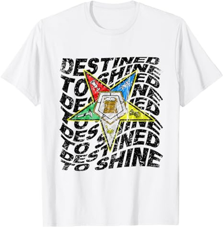 Retro Order Of The Eastern Star Shirt OES Shirt For Diva T-Shirt
