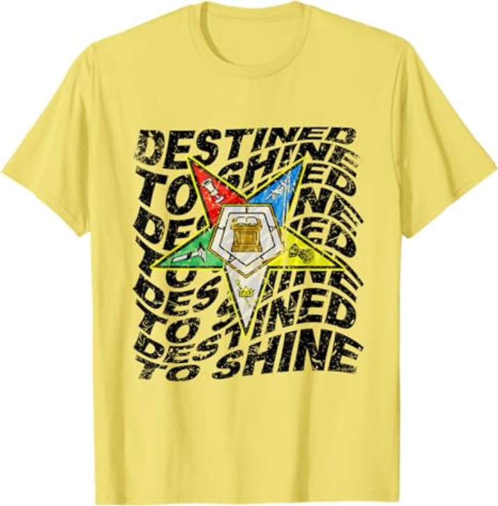 Retro Order Of The Eastern Star Shirt OES Shirt For Diva T-Shirt