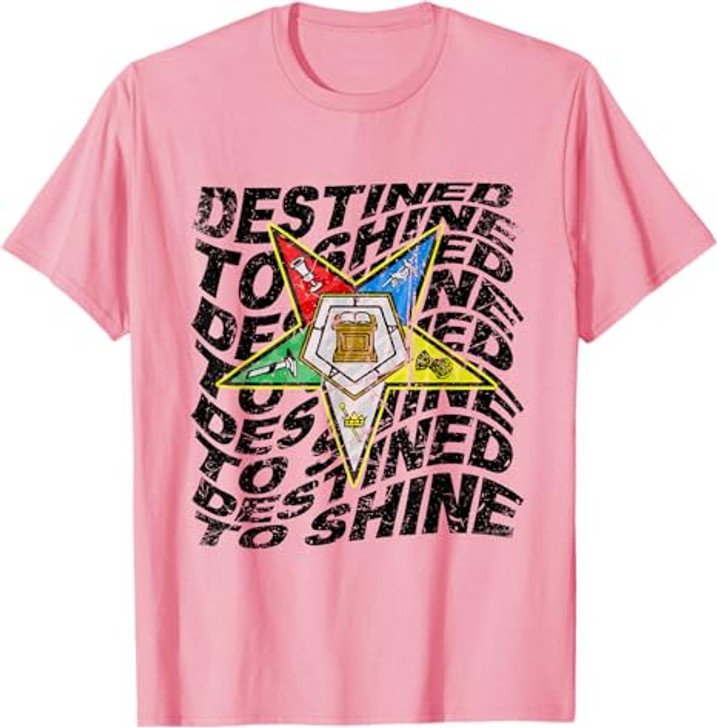 Retro Order Of The Eastern Star Shirt OES Shirt For Diva T-Shirt