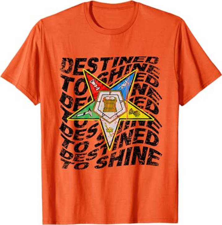 Retro Order Of The Eastern Star Shirt OES Shirt For Diva T-Shirt