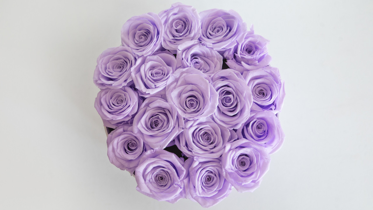 violetrose！ラグジュアリーボックス 42粒 Deluxe Round Rose Box - Lavender Roses
