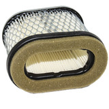 BRIGGS FILTER-A/C CARTRIDGE 692446; USES 273356 PRE FILTER Briggs & Stratton Engine Parts (BS-692446)