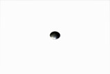 WALBRO Plug - welch 88-180-8 Walbro Engine Parts (WLB-881808)