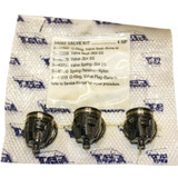 4HP Valve kit includes 3 of each:  17547, 46658, 46429, 43750, 45860, 17615 Cat Pumps Engine Parts (CAT-34060)