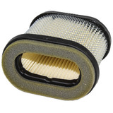 BRIGGS FILTER-A/C CARTRIDGE 697029; USES 273356 PRE FILTER Briggs & Stratton Engine Parts (BS-697029)