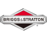 5.5 ft-lbs Briggs & Stratton Professional Series Engine, Horizontal 5/8"x2-27/64" Shaft, Recoil Start (83132-1040)
