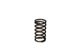 262550 SPRING-VALVE Briggs & Stratton Engine Parts (BS-262550)