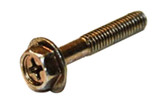 BRIGGS Alternator Screw Briggs & Stratton Engine Parts (BS-698516-D1)