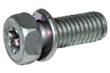 TAKEN OFF NEW ENGINE SCREW Briggs & Stratton Engine Parts (BS-691902-D1)