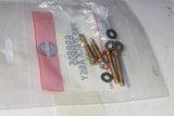 698805 Pre Pack, Screw Kit Briggs & Stratton Engine Parts (BS-698805)